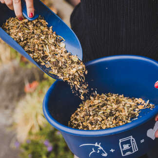 Sortiment Pferdefutter